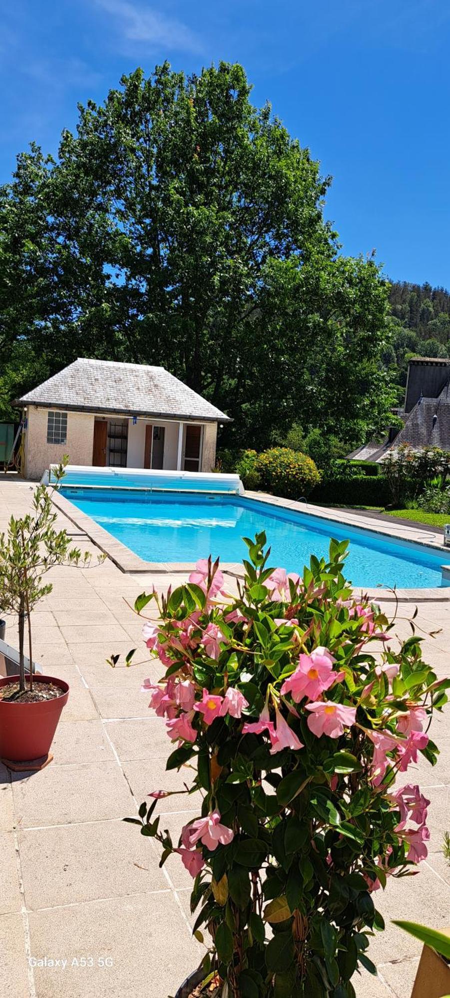 Jardin Des Chats Sévignacq-Meyracq Exterior foto